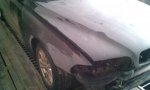 IMAG0217.jpg