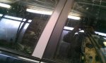 IMAG0233.jpg