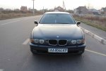 IMG_1812.jpg