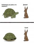 черепаха и заяц.jpg