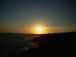 DSC00794.jpg