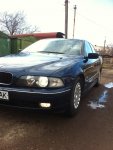 IMG_0277.jpg