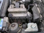 3d1eb44s-960.jpg