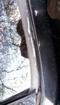 IMG_20150419_113023.jpg