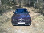 Весна лес BMW.jpg