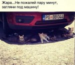 image-bf9800029bc9028ada537b71ce8cf00d2bab984206eba83ec85735503608a5c0-V.jpg