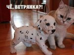 image-4c5d6fb9cee487e6a3f2db363c011b7654ae6bab901badfb7eb4af8fdece7b02-V.jpg