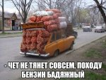 image-5be1cb3b78727f5521103cba930250efe5bace561e3d67d3d03f22f2adaf736e-V.jpg