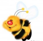 Пчёла.jpg