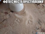 1438977119_1438913549_56.jpg