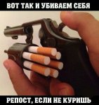 image-5b220a9e570efe617a9184e9dffd3f4f3f61ca8b9c726a4433075298289b23ce-V.jpg