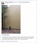 6015982.jpg