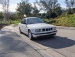 e34m5alpin_3888541_15694177.jpg