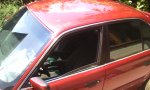 IMG_20150717_124347.jpg