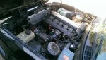 IMAG7509.jpg