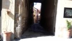 20151003_135249.jpg