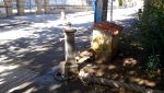 20151003_144520.jpg