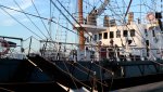 20151003_182624.jpg