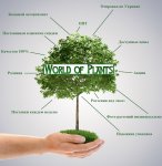 Fotolia_41560854_Subscription_Monthly_L - копия.jpg