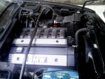 olX5Xp76_Ew.jpg