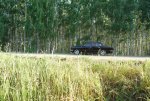 b58d2d8s-960.jpg