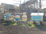 2015-04-25 16.32.34.jpg