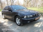 78005581f.jpg