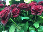 IMG_6137.JPG