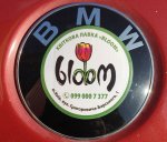 BMW BLOOM.jpg