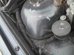 IMG_20160313_160218.jpg
