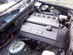 IMG_20160407_181819.jpg