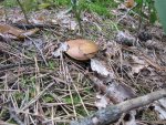 IMG_3148.jpg