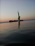IMG_20160627_045101.jpg