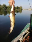 IMG_20160627_073440.jpg