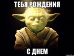 master-yoda_8088215_orig_.jpg