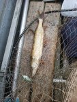 IMG_20161015_135826.jpg