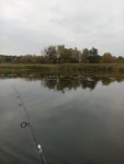 IMG_20161015_165506.jpg