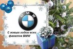 bmw year2.jpg
