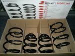 eibach-federn-pro-kit-bmw-e46-6cyl-2.jpg