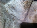 IMG_1019.JPG