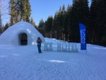 IceHotel1.jpg