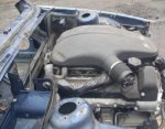 SDC17671.JPG