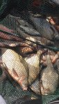 IMG_0685.JPG