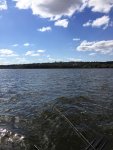 IMG_0683.jpg