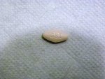100_0010.JPG