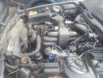 20180427_095939.jpg