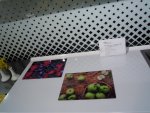 DSCN7122.jpg