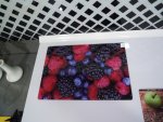 DSCN7128.jpg