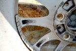 DSC_0590.jpg