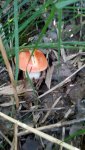 20180913102457.jpg